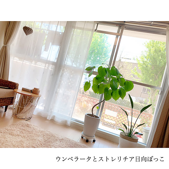 chaluさんの実例写真