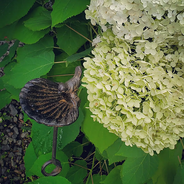 n.aturally_mさんの実例写真