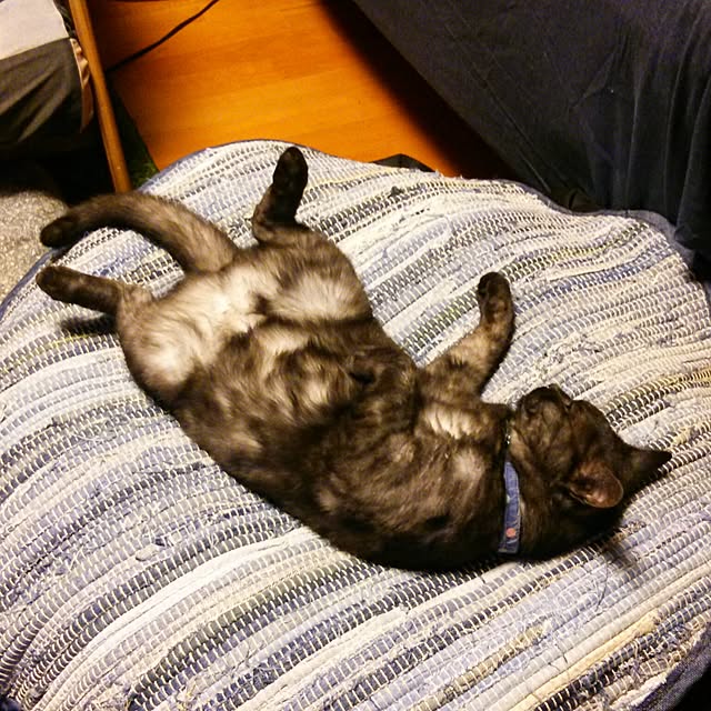 kuroさんの実例写真