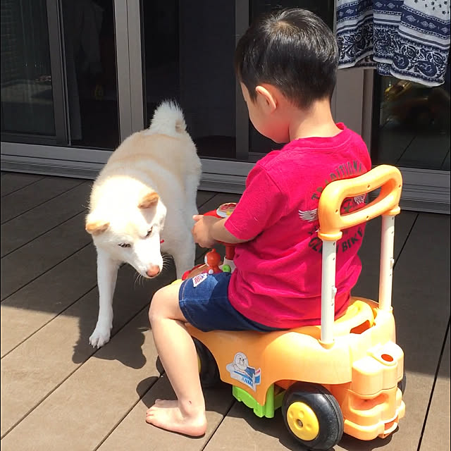 kozuchapuさんの実例写真