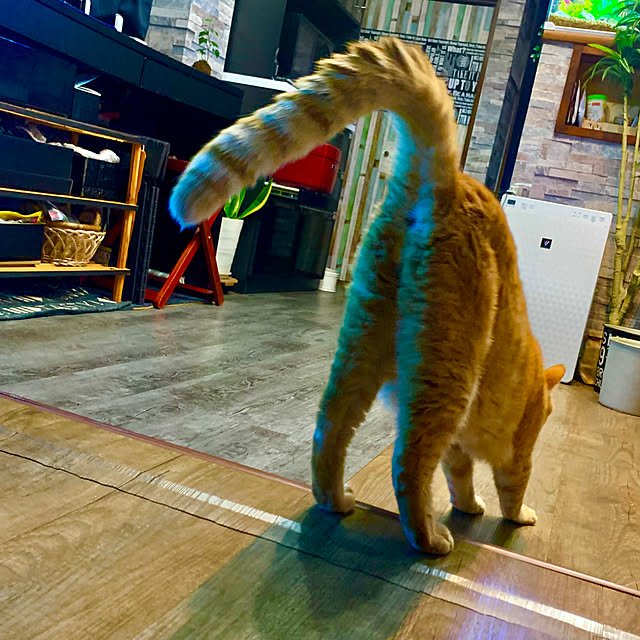 tututu0204さんの部屋