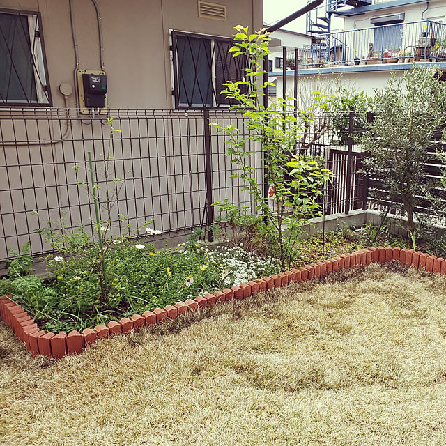 masaさんの実例写真