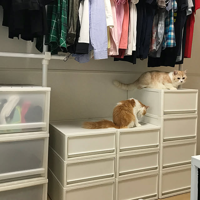 H.Tさんの実例写真