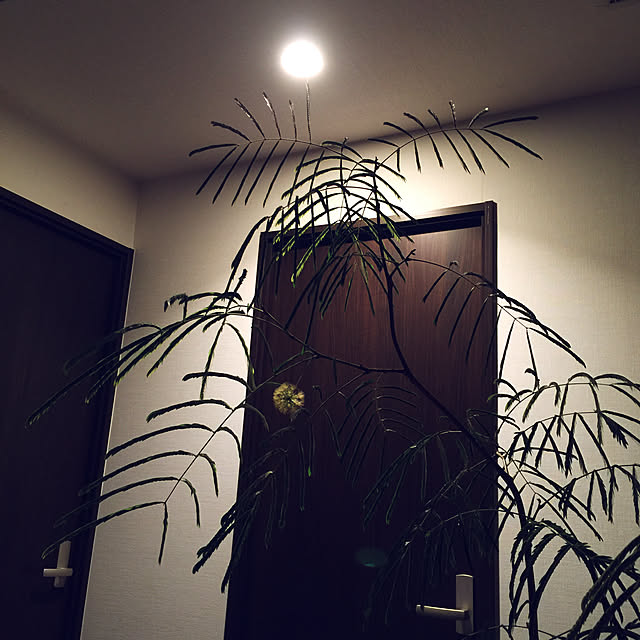 HKSさんの実例写真
