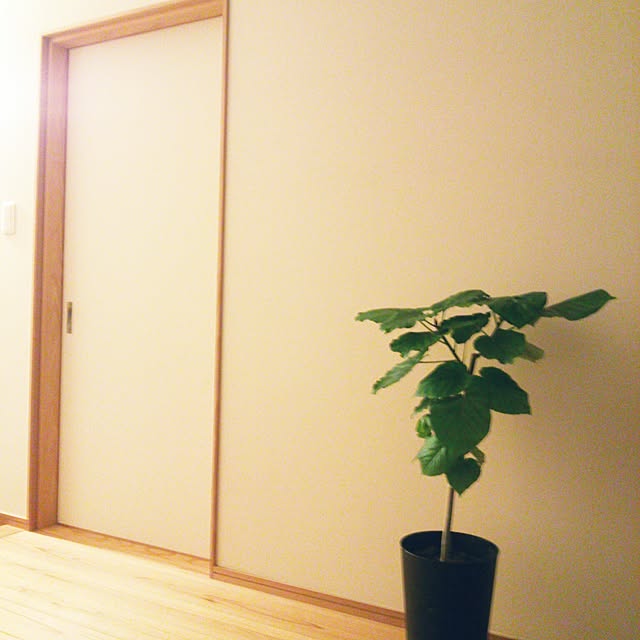 poemwalkさんの実例写真