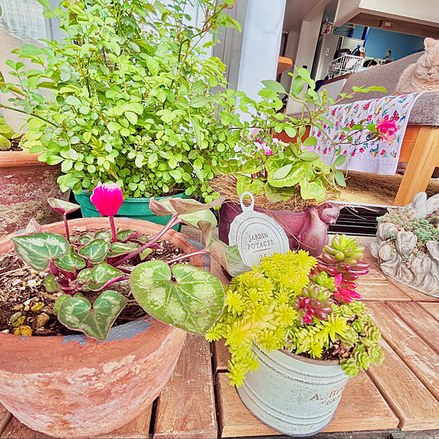 naokoさんの部屋