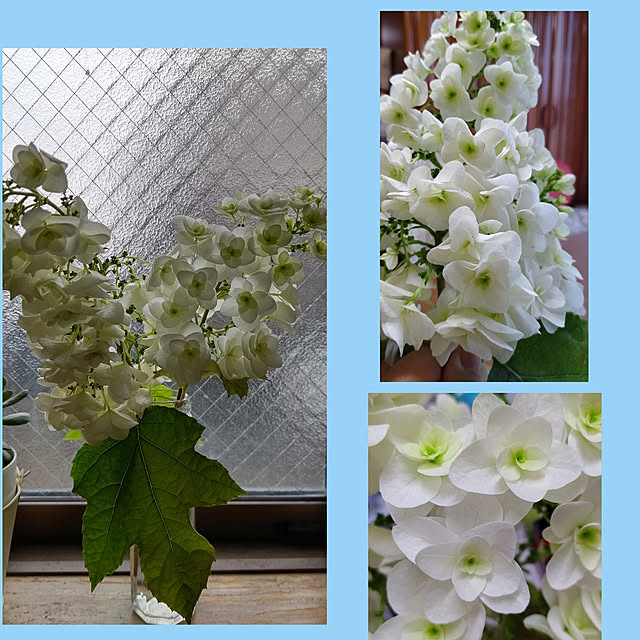 yumirinさんの実例写真