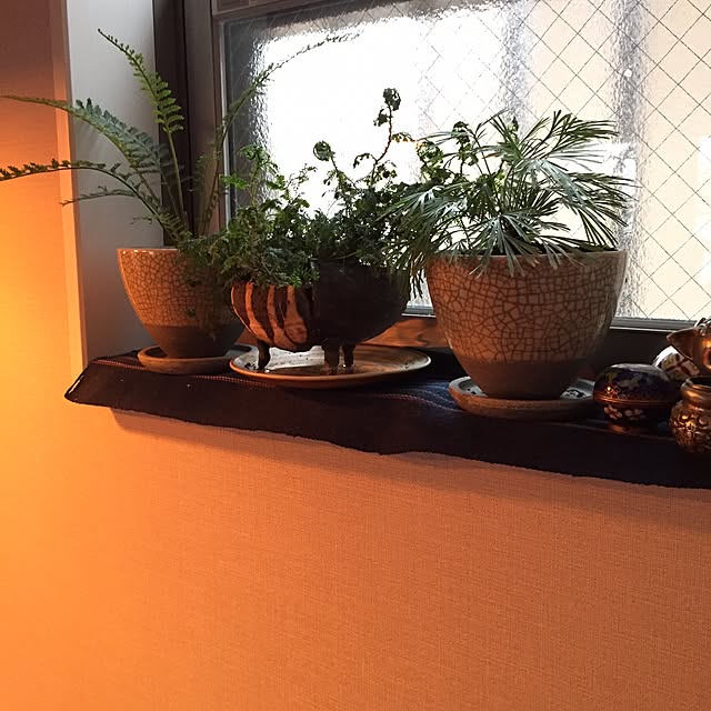 yuyuさんの実例写真
