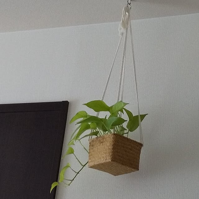 akichiさんの実例写真