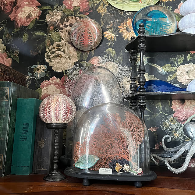 cantikさんの実例写真