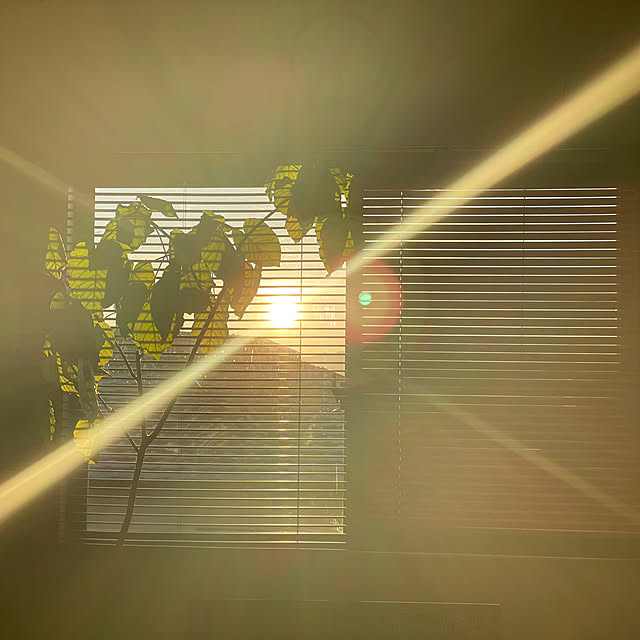 maro.kさんの実例写真