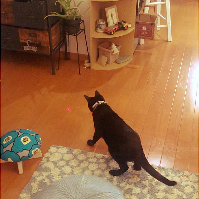 jijiさんの実例写真