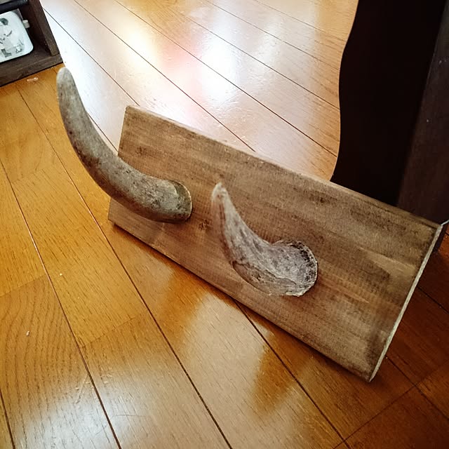rika-snyさんの実例写真