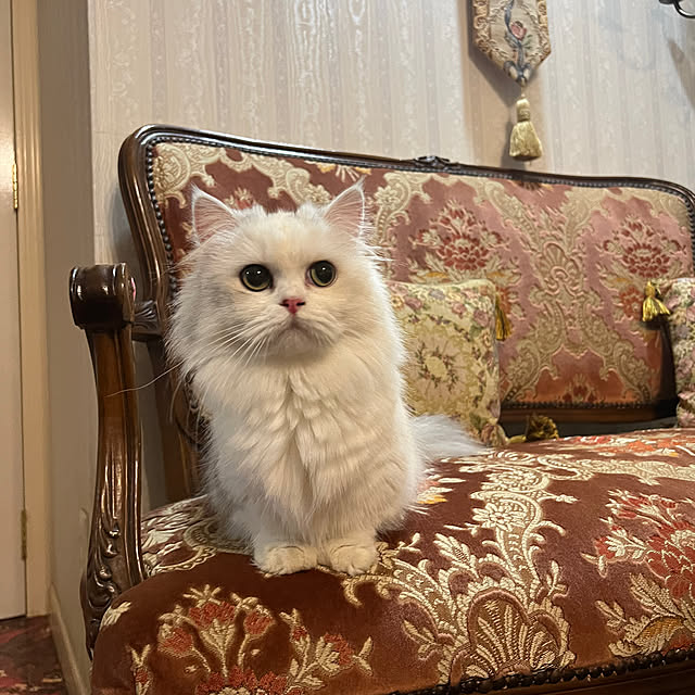 AYUKOさんの部屋