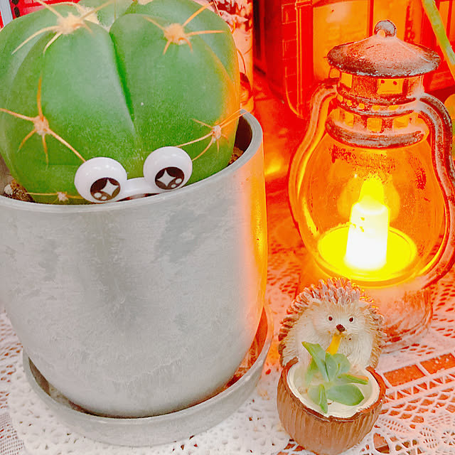 Hanakaさんの部屋