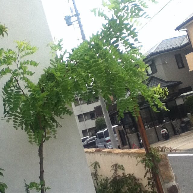 kpyさんの実例写真