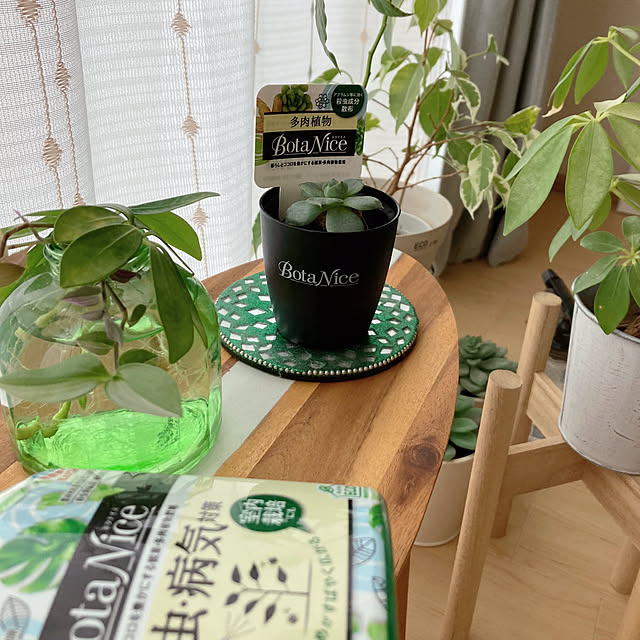 aiaiさんの部屋