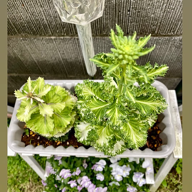 YuuKoさんの部屋