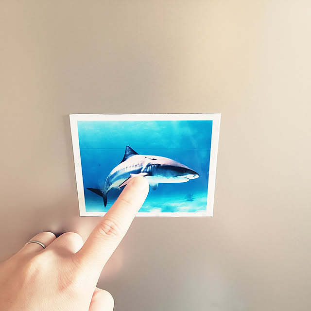 harunokaze25さんの実例写真