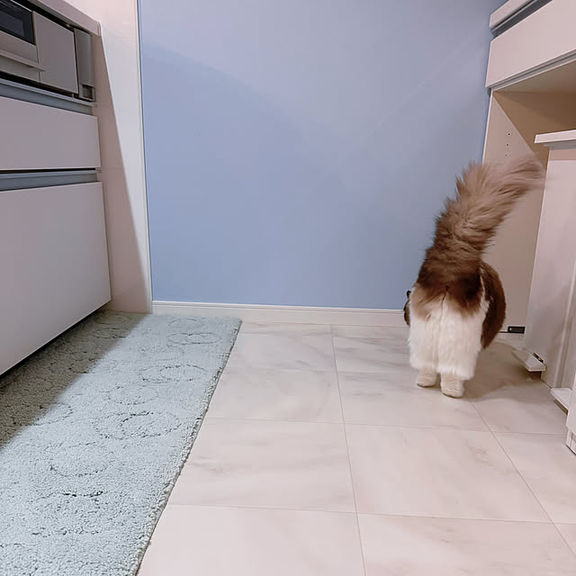 niuさんの実例写真