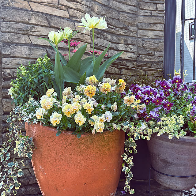 moainanoさんの実例写真