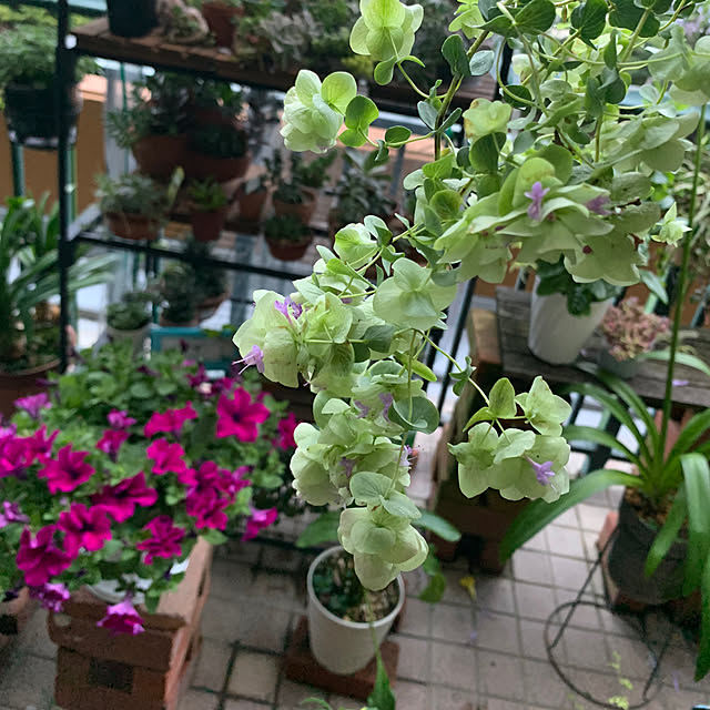 Aqettyさんの部屋