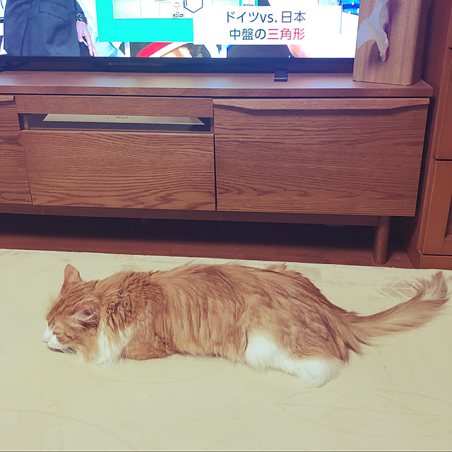 uchidaizuさんの実例写真