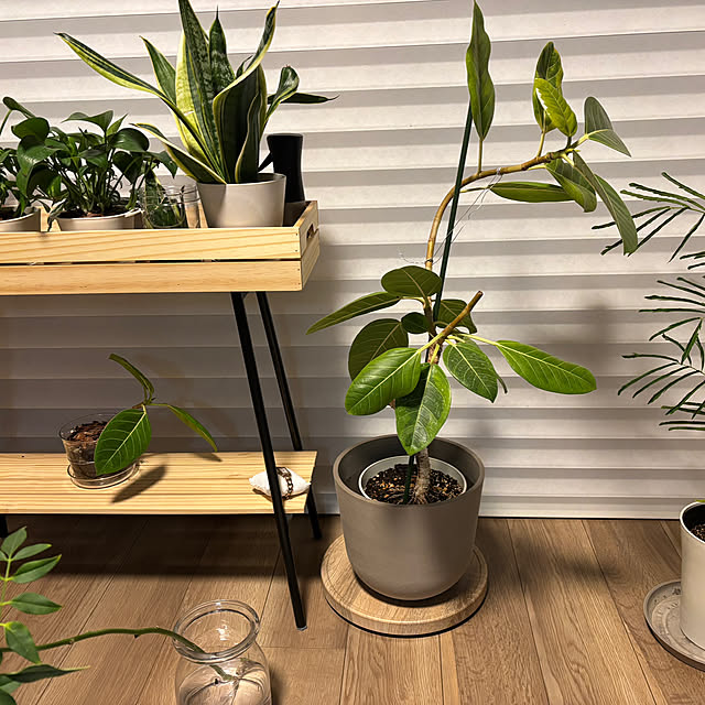muさんの部屋