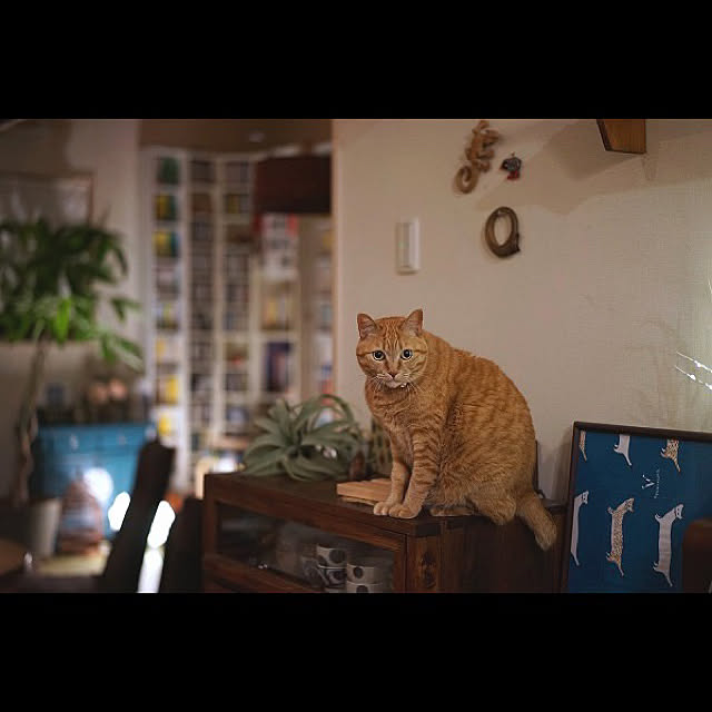 Swatchさんの実例写真