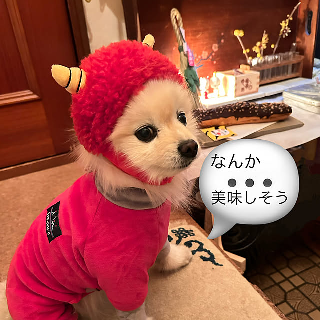 akaidarumaさんの部屋