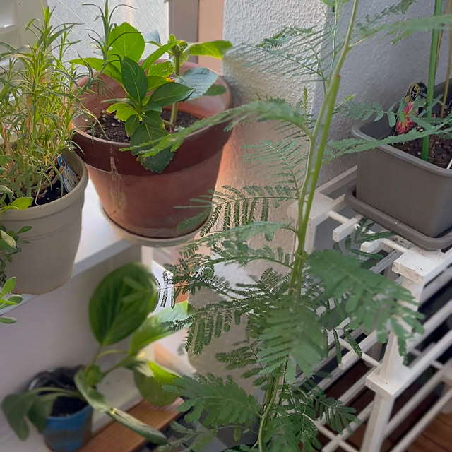 Atsukoさんの部屋