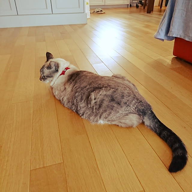 bonobono54さんの実例写真