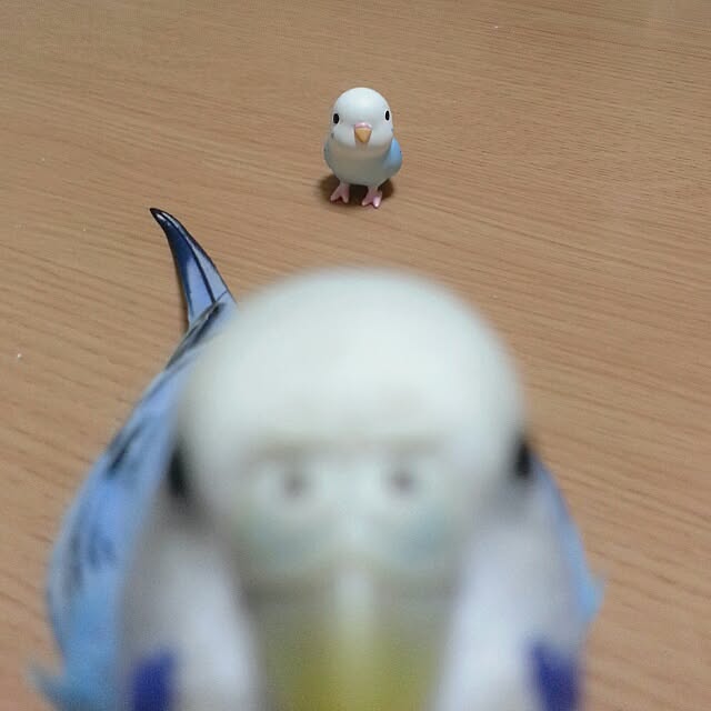 Rさんの実例写真