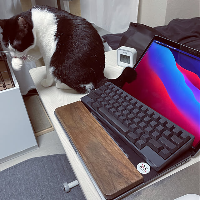 Chisaさんの実例写真