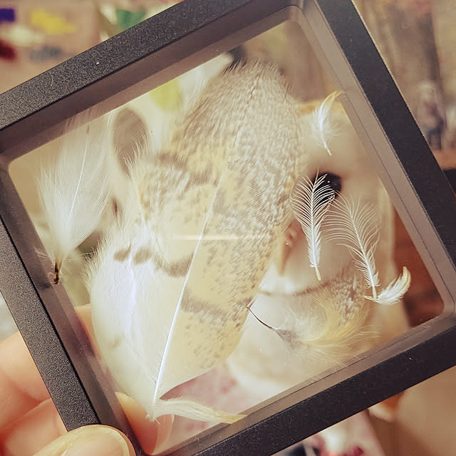 mikiさんの実例写真