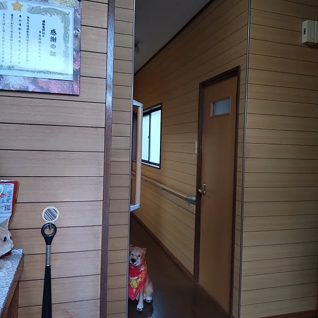 NOAHさんの部屋