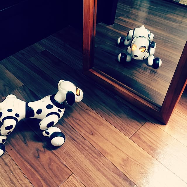 NOAHさんの実例写真