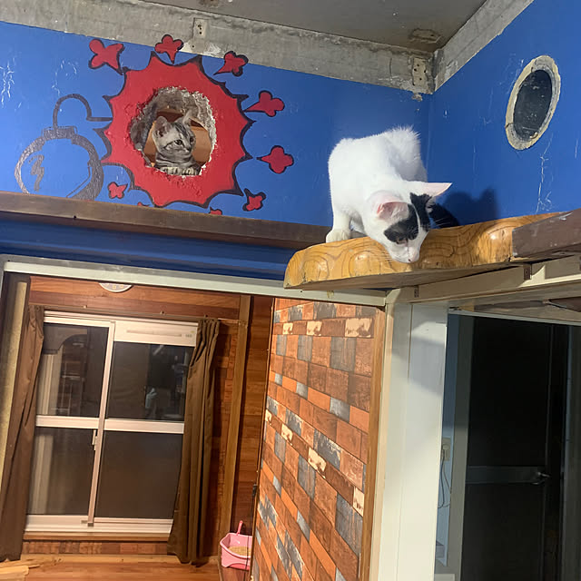 yuutamamehimaさんの部屋