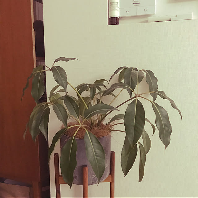 ychiy729さんの実例写真