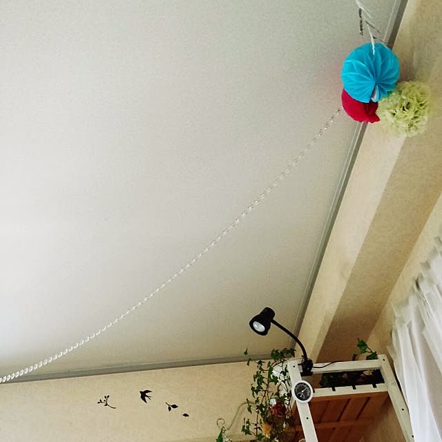 cottonさんの実例写真