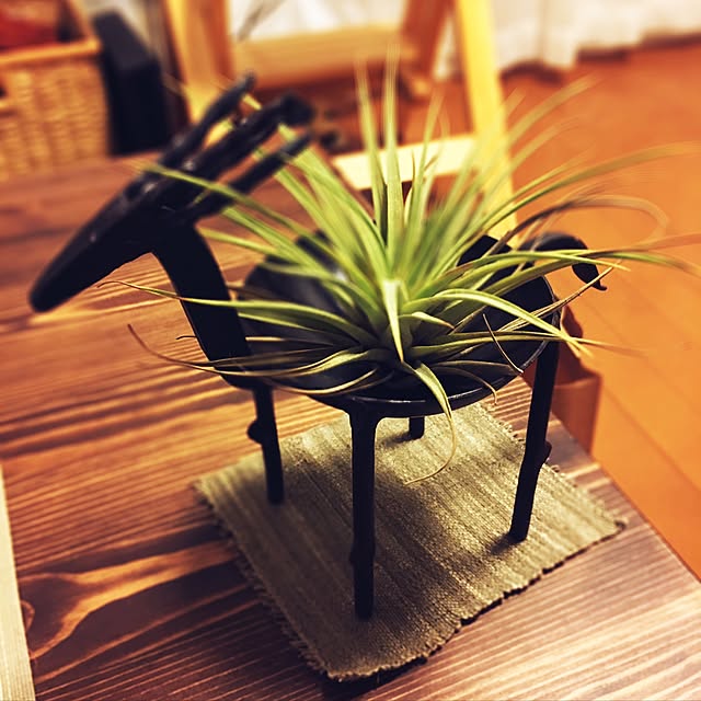 Kuninoriさんの実例写真
