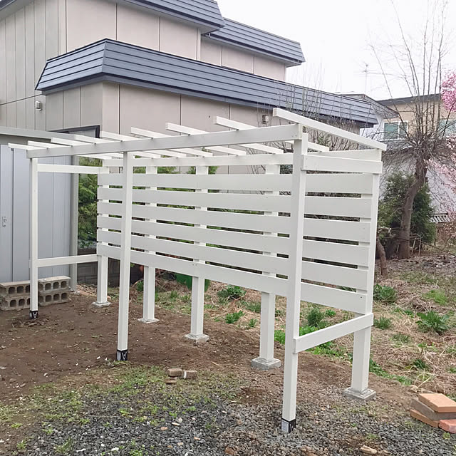 kotoriさんの実例写真