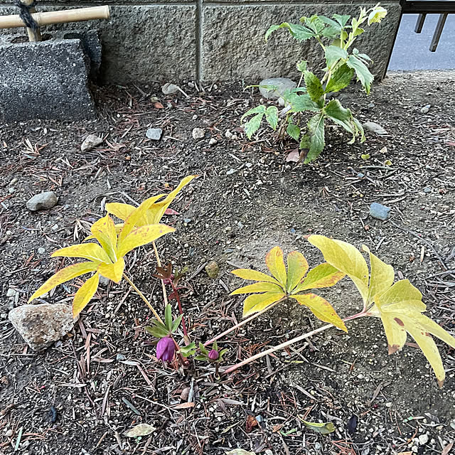 shin0719さんの部屋