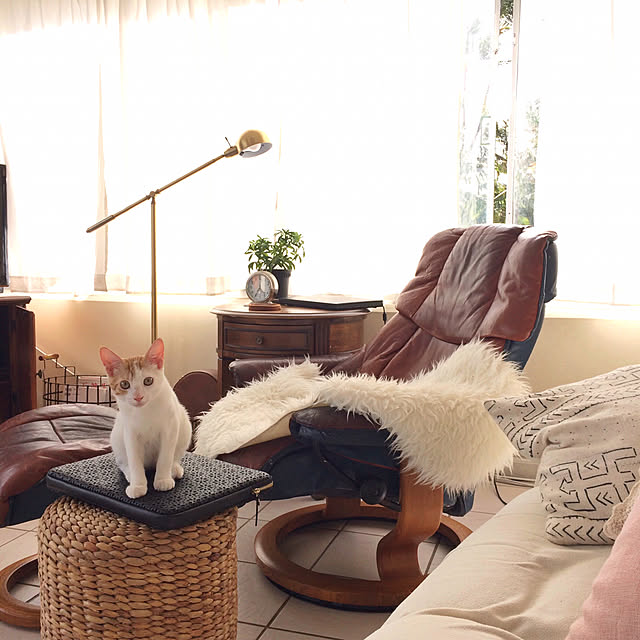 Genjiさんの実例写真