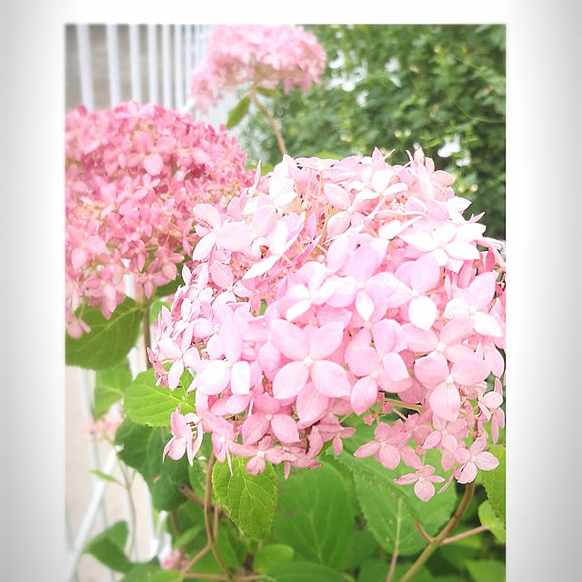 YU-KAさんの実例写真