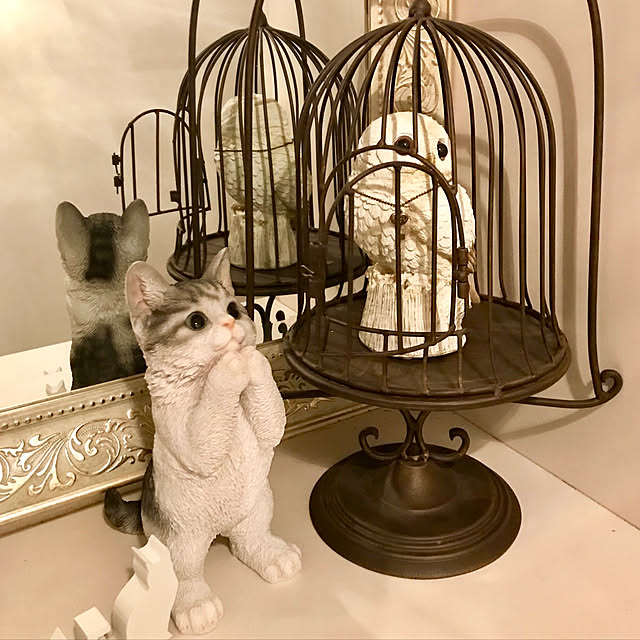 butachanさんの実例写真