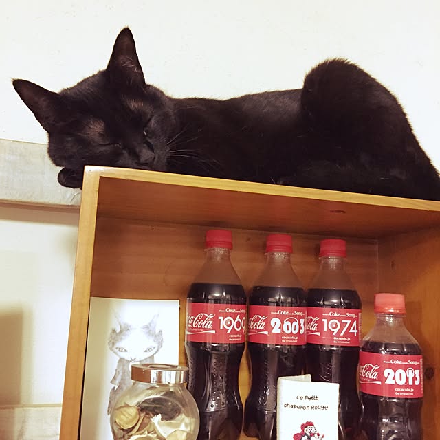 latteさんの実例写真