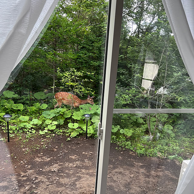 chanduさんの部屋