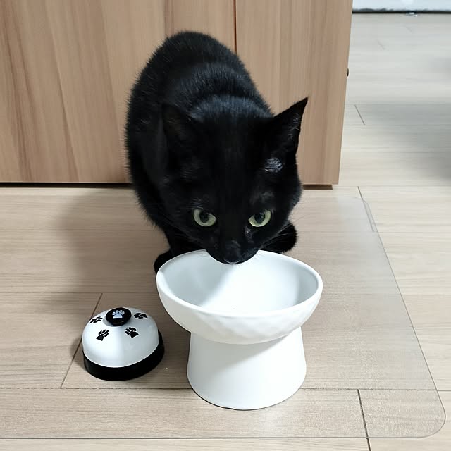sakuraさんの部屋