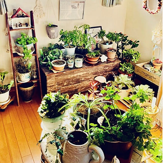 CoCo0617さんの実例写真